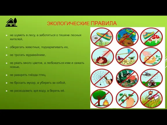 ЭКОЛОГИЧЕСКИЕ ПРАВИЛА не шуметь в лесу, а заботиться о тишине лесных жителей,