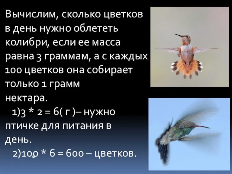 Вычислим, сколько цветков в день нужно облететь колибри, если ее масса равна