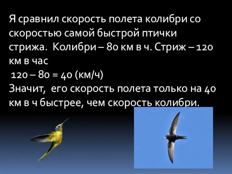 Я сравнил скорость полета колибри со скоростью самой быстрой птички стрижа. Колибри