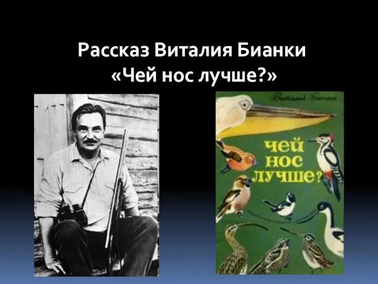 Рассказ Виталия Бианки «Чей нос лучше?»