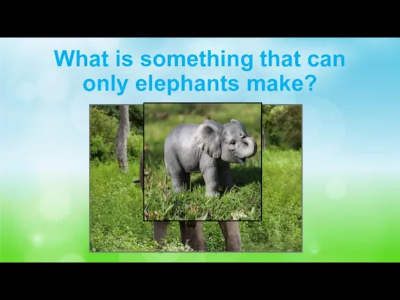 What is something that can only elephants make? Baby elephants