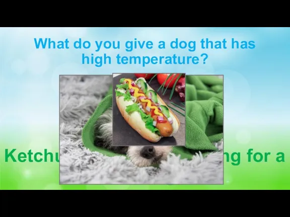 What do you give a dog that has high temperature? Ketchup, it