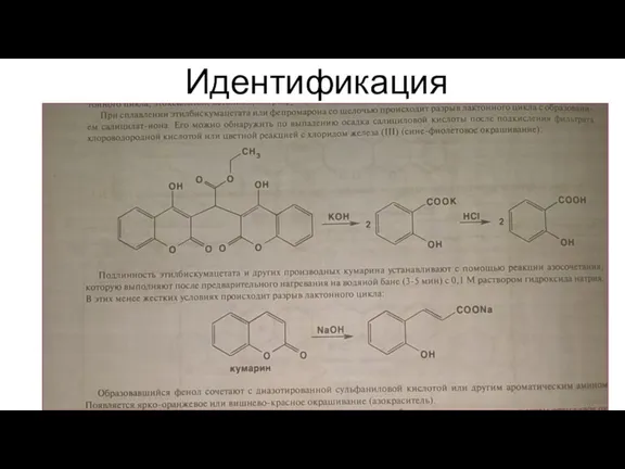 Идентификация