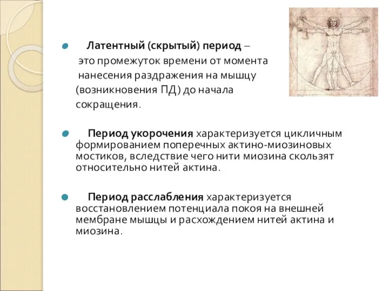 Латентный (скрытый) период – это промежуток времени от момента нанесения раздражения на