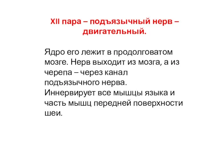 XII пара – подъязычный нерв – двигательный. Ядро его лежит в продолговатом