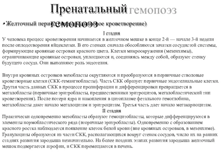 Пренатальный гемопоэз Желточный период (внезародышевое кроветворение) I стадия У человека процесс кроветворения