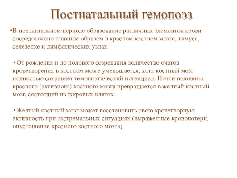 Постнатальный гемопоэз В постнатальном периоде образование различных элементов крови сосредоточено главным образом