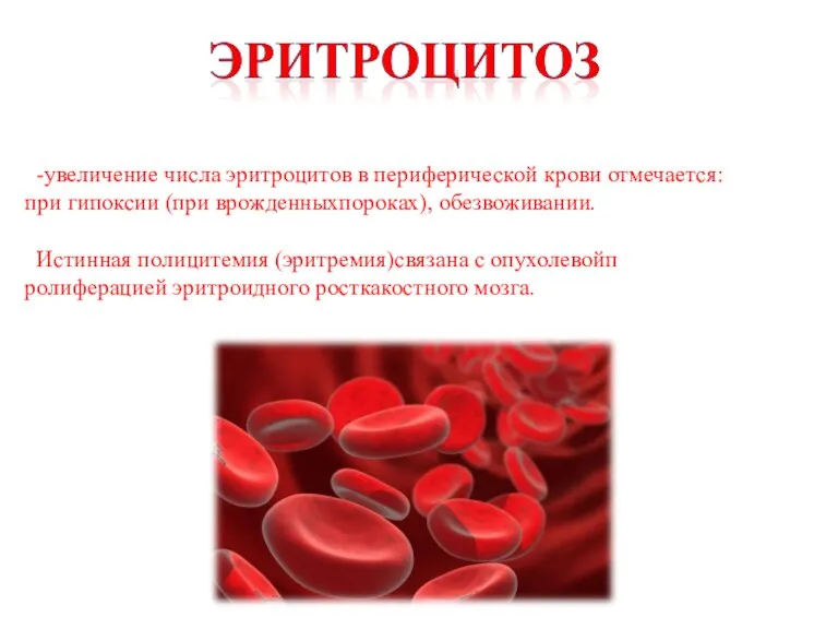 -увеличение числа эритроцитов в периферической крови отмечается: при гипоксии (при врожденныхпороках), обезвоживании.