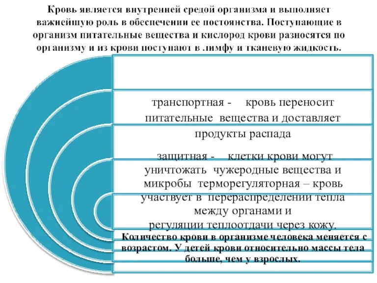 дыхательная транспортная - кровь переносит питательные вещества и доставляет продукты распада защитная