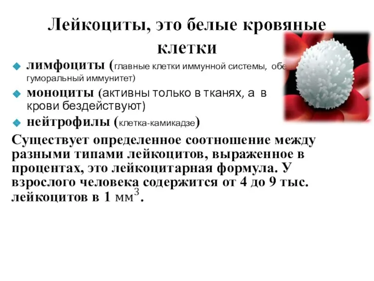 защищают кровь от попадающих в кровь микроорганизмов и токсинов. Различают следующие типы