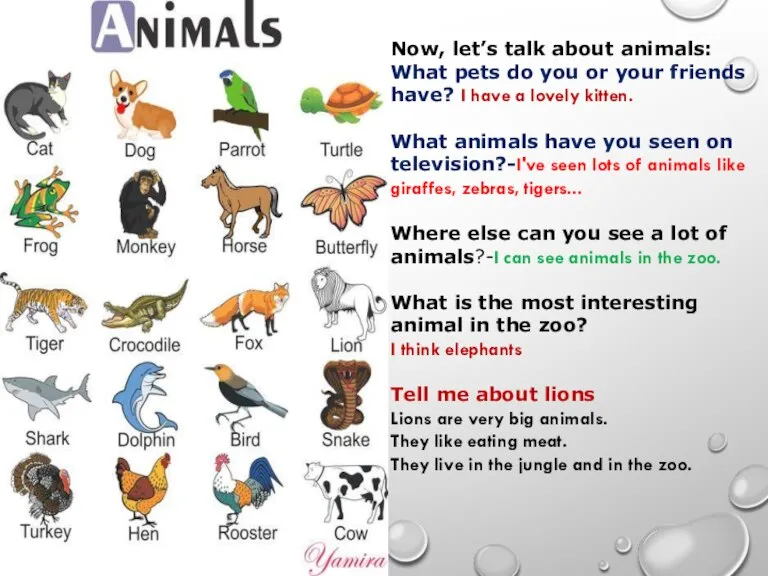 Now, let’s talk about animals: What pets do you or your friends