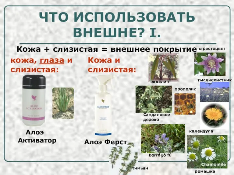 ЧТО ИСПОЛЬЗОВАТЬ ВНЕШНЕ? I. Кожа + слизистая = внешнее покрытие кожа, глаза