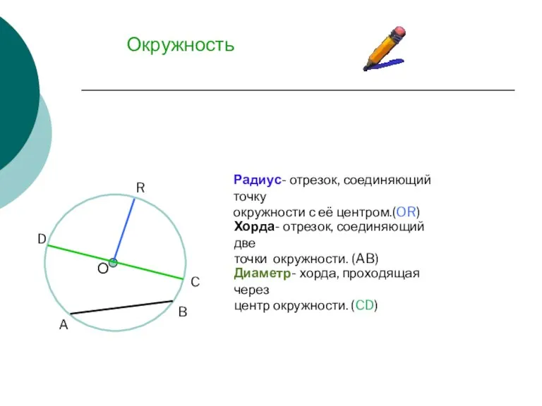 Окружность A B D C R О Радиус- отрезок, соединяющий точку окружности