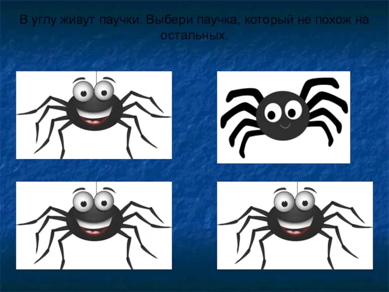 В углу живут паучки. Выбери паучка, который не похож на остальных.