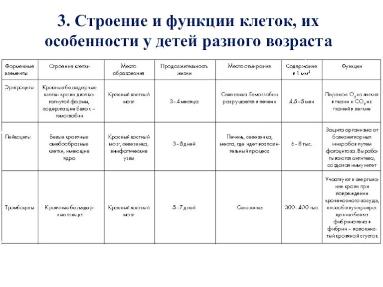 3. Строение и функции клеток, их особенности у детей разного возраста