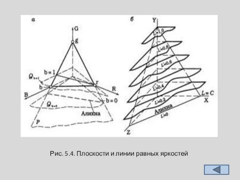 Рис. 5.4. Плоскости и линии равных яркостей