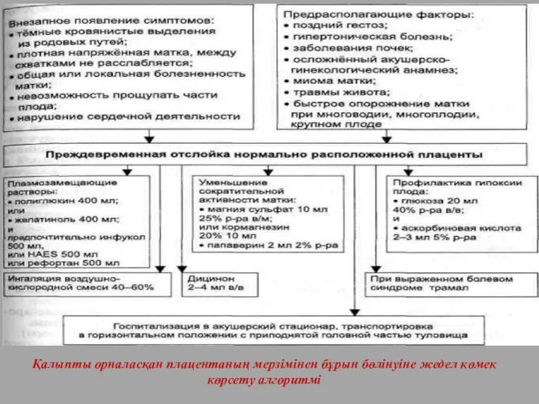 Қалыпты орналасқан плацентаның мерзімінен бұрын бөлінуіне жедел көмек көрсету алгоритмі