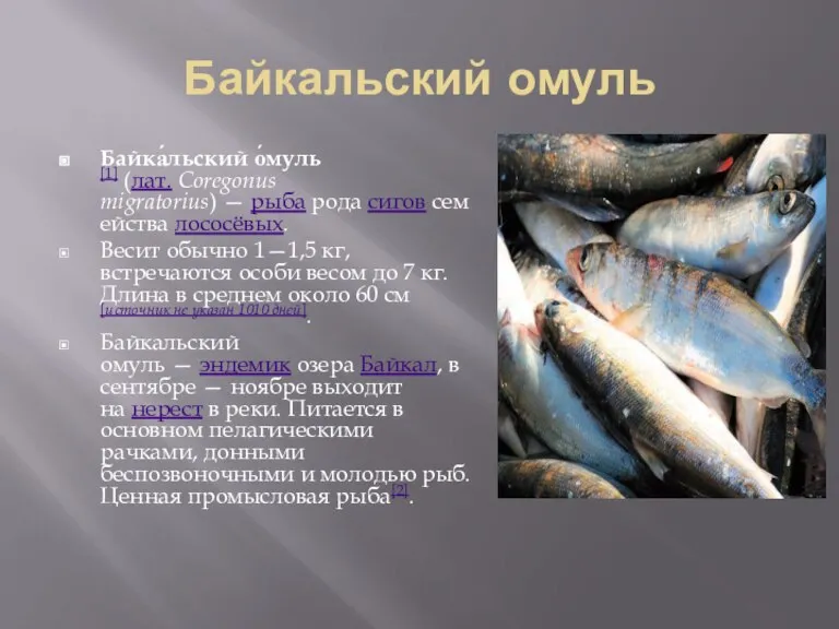 Байкальский омуль Байка́льский о́муль[1] (лат. Coregonus migratorius) — рыба рода сигов семейства