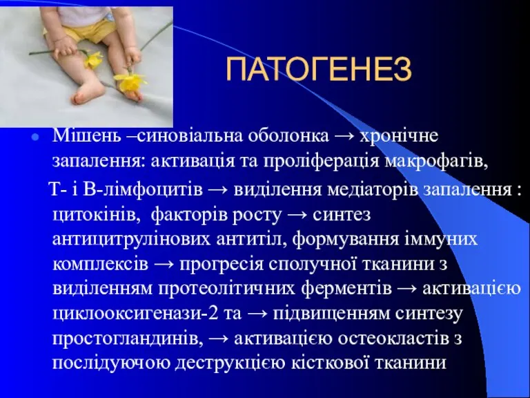 ПАТОГЕНЕЗ Мішень –синовіальна оболонка → хронічне запалення: активація та проліферація макрофагів, Т-