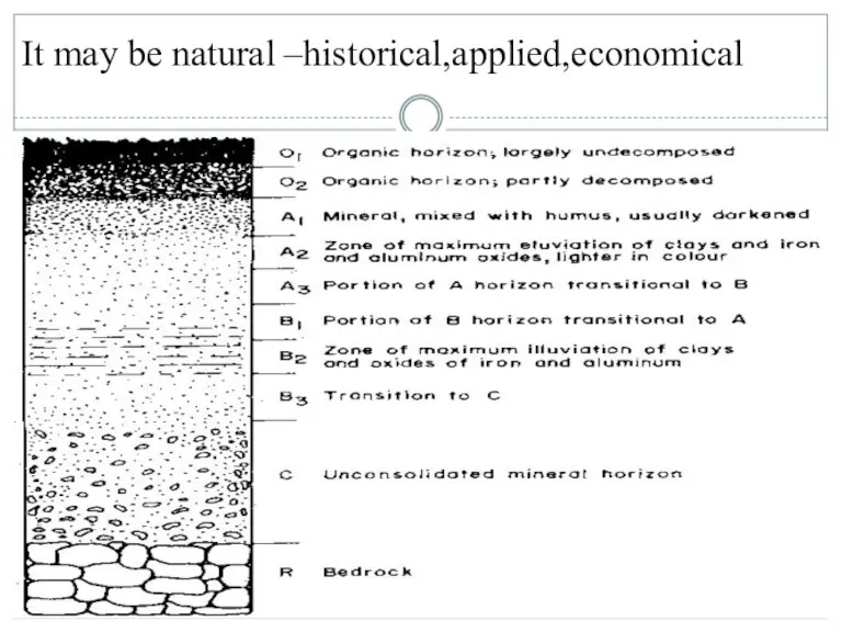 It may be natural –historical,applied,economical