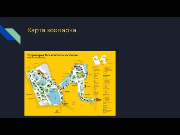 Карта зоопарка