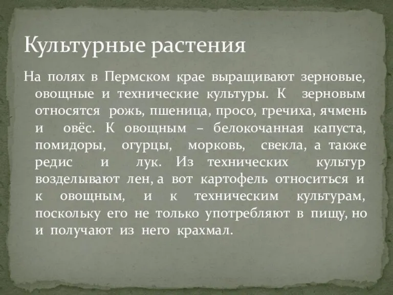 На полях в Пермском крае выращивают зерновые, овощные и технические культуры. К