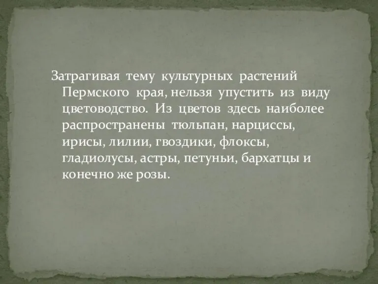 Затрагивая тему культурных растений Пермского края, нельзя упустить из виду цветоводство. Из