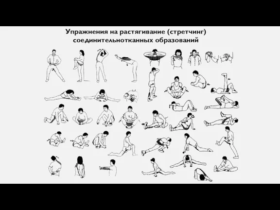 Упражнения на растягивание (стретчинг) соединительнотканных образований