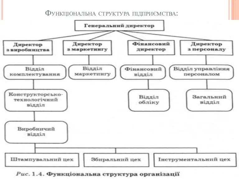 Функціональна структура підприємства: