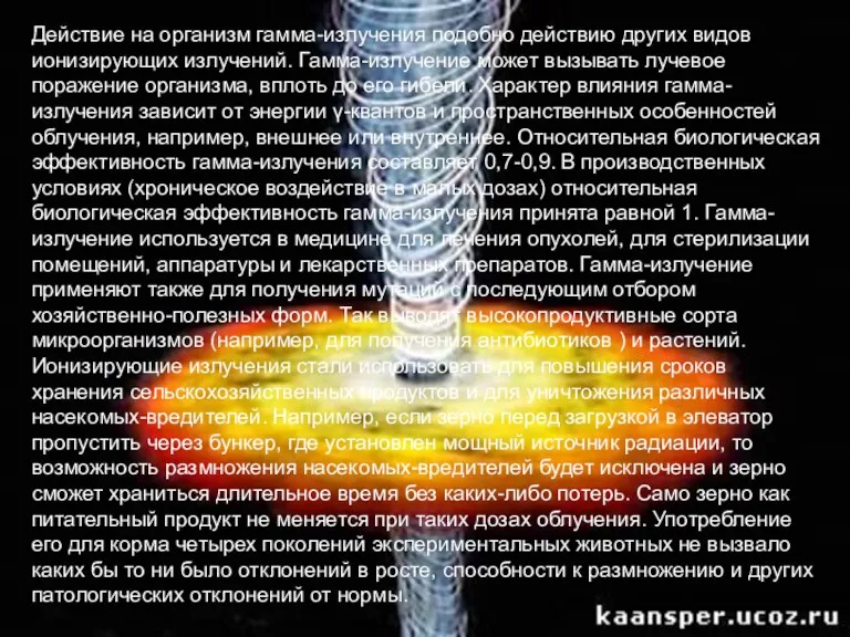 Действие на организм гамма-излучения подобно действию других видов ионизирующих излучений. Гамма-излучение может