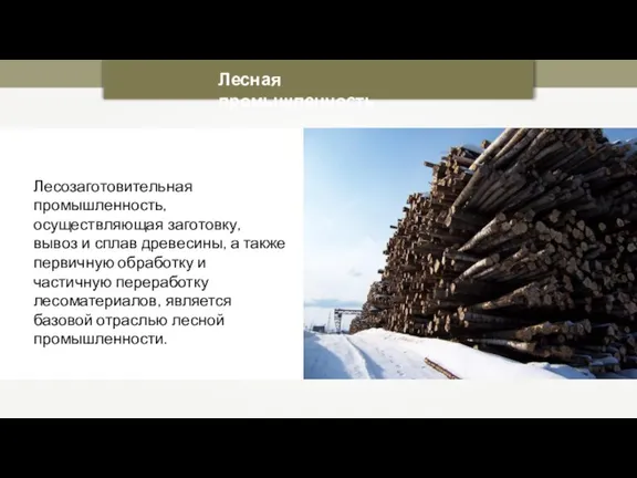 Лесозаготовительная промышленность, осуществляющая заготовку, вывоз и сплав древесины, а также первичную обработку