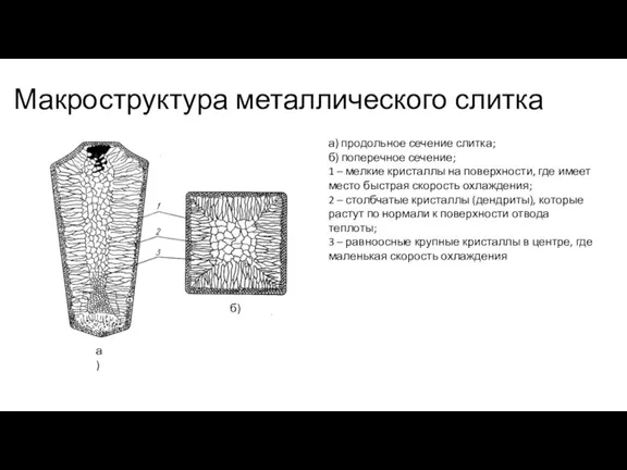 Макроструктура металлического слитка а) продольное сечение слитка; б) поперечное сечение; 1 –