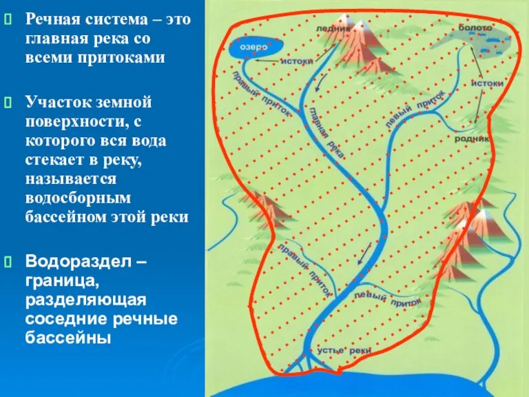 Речная система – это главная река со всеми притоками Участок земной поверхности,