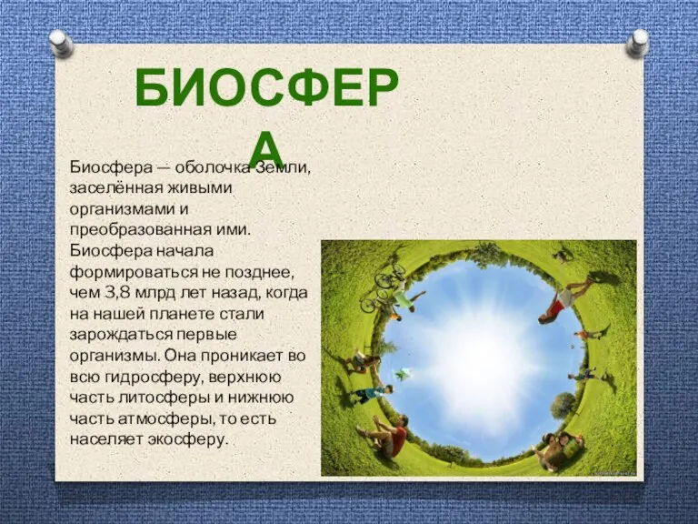 БИОСФЕРА Биосфера — оболочка Земли, заселённая живыми организмами и преобразованная ими. Биосфера