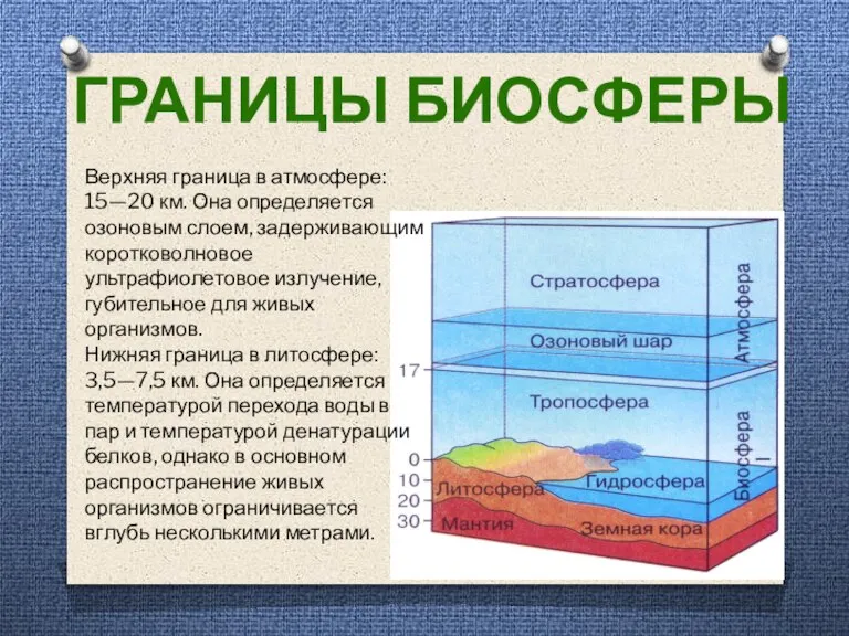 ГРАНИЦЫ БИОСФЕРЫ Верхняя граница в атмосфере: 15—20 км. Она определяется озоновым слоем,