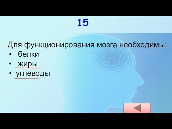 Для функционирования мозга необходимы: белки жиры углеводы 15