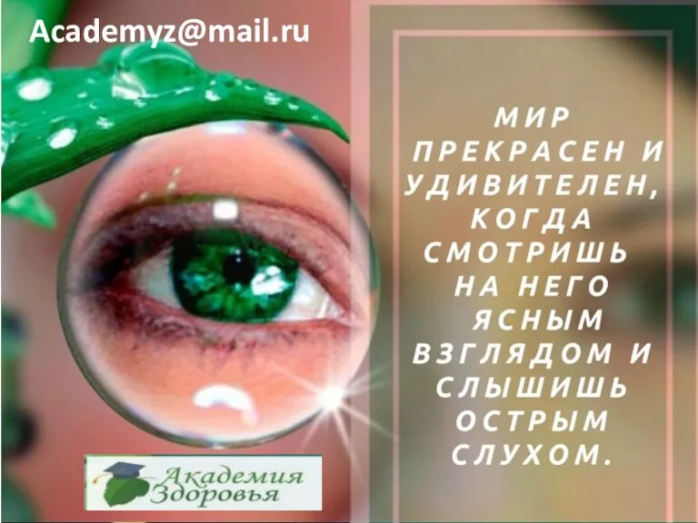 Academyz@mail.ru