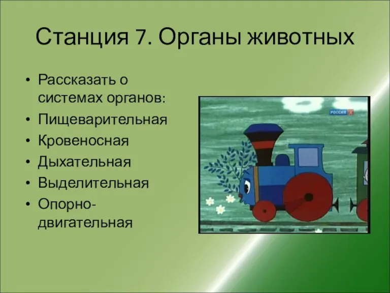 Станция 7. Органы животных Рассказать о системах органов: Пищеварительная Кровеносная Дыхательная Выделительная Опорно-двигательная