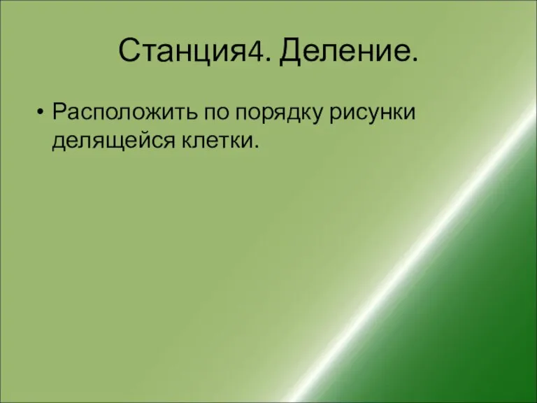 Станция4. Деление. Расположить по порядку рисунки делящейся клетки.