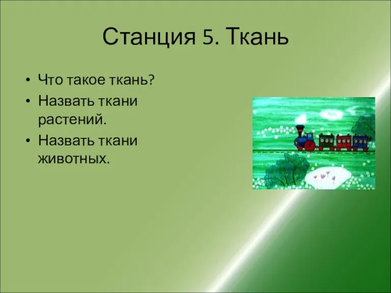 Станция 5. Ткань Что такое ткань? Назвать ткани растений. Назвать ткани животных.