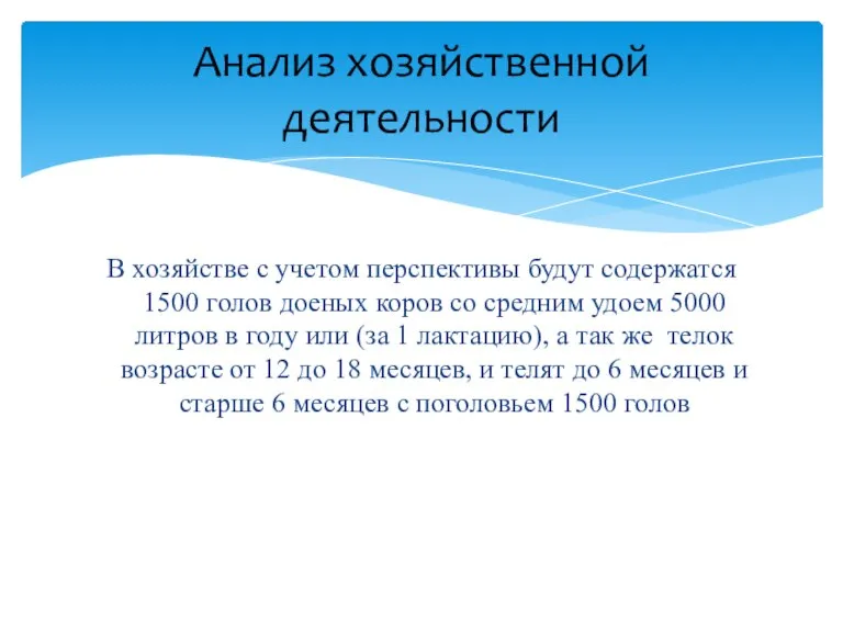 В хозяйстве с учетом перспективы будут содержатся 1500 голов доеных коров со