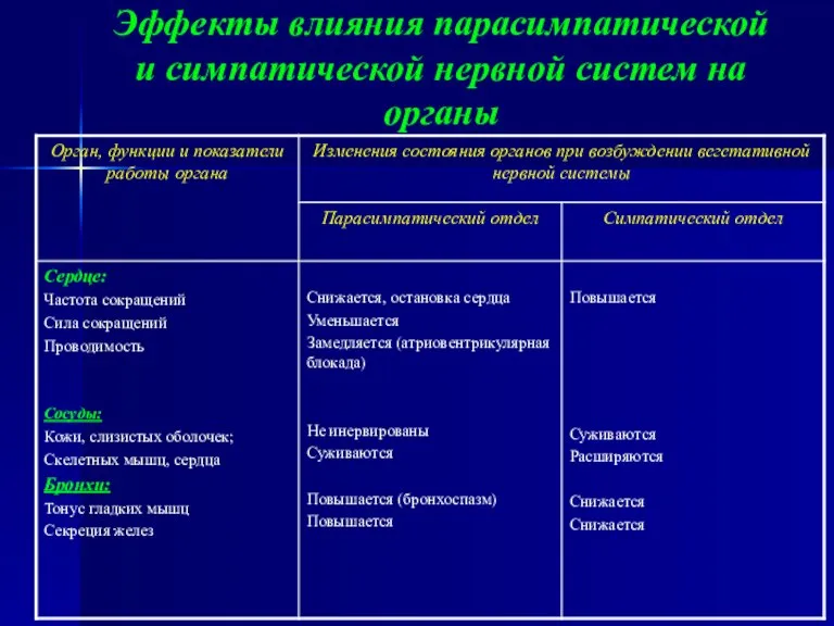 Эффекты влияния парасимпатической и симпатической нервной систем на органы