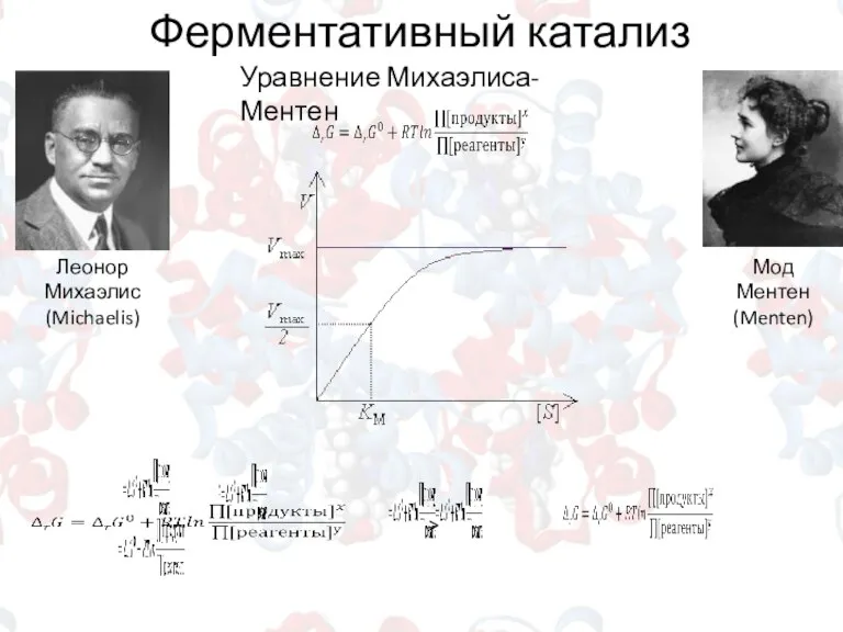 Ферментативный катализ Уравнение Михаэлиса-Ментен Леонор Михаэлис (Michaelis) Мод Ментен (Menten)