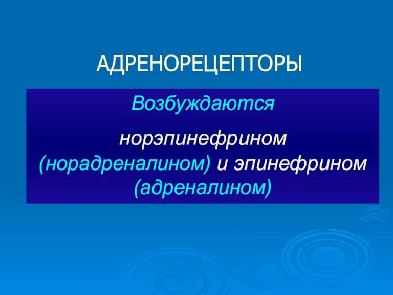 АДРЕНОРЕЦЕПТОРЫ Возбуждаются норэпинефрином (норадреналином) и эпинефрином (адреналином)