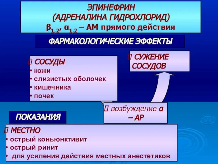 ФАРМАКОЛОГИЧЕСКИЕ ЭФФЕКТЫ ЭПИНЕФРИН (АДРЕНАЛИНА ГИДРОХЛОРИД) β1,2, α1,2 – АМ прямого действия