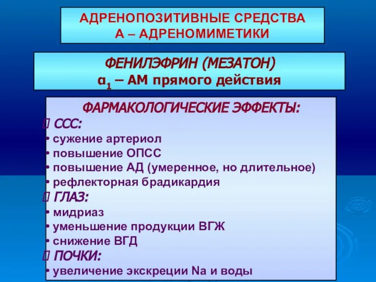 ФЕНИЛЭФРИН (МЕЗАТОН) α1 – АМ прямого действия ФАРМАКОЛОГИЧЕСКИЕ ЭФФЕКТЫ: ССС: сужение артериол