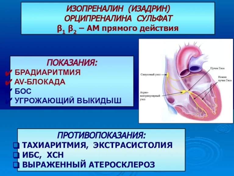 ПРОТИВОПОКАЗАНИЯ: ТАХИАРИТМИЯ, ЭКСТРАСИСТОЛИЯ ИБС, ХСН ВЫРАЖЕННЫЙ АТЕРОСКЛЕРОЗ ПОКАЗАНИЯ: БРАДИАРИТМИЯ AV-БЛОКАДА БОС УГРОЖАЮЩИЙ