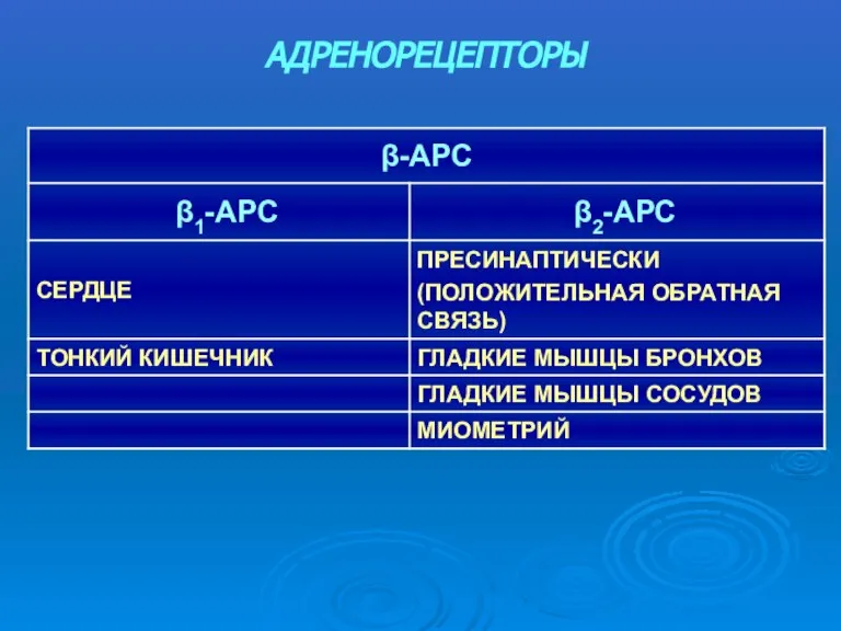 АДРЕНОРЕЦЕПТОРЫ