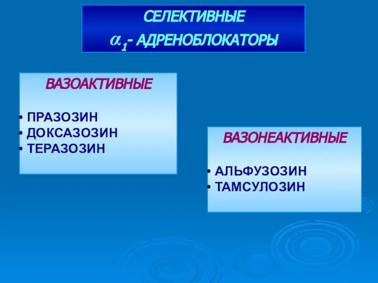 ВАЗОАКТИВНЫЕ ПРАЗОЗИН ДОКСАЗОЗИН ТЕРАЗОЗИН ВАЗОНЕАКТИВНЫЕ АЛЬФУЗОЗИН ТАМСУЛОЗИН СЕЛЕКТИВНЫЕ α1- АДРЕНОБЛОКАТОРЫ