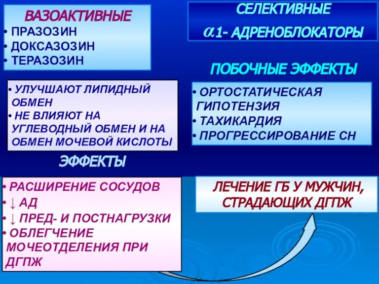 СЕЛЕКТИВНЫЕ α1- АДРЕНОБЛОКАТОРЫ ВАЗОАКТИВНЫЕ ПРАЗОЗИН ДОКСАЗОЗИН ТЕРАЗОЗИН УЛУЧШАЮТ ЛИПИДНЫЙ ОБМЕН НЕ ВЛИЯЮТ